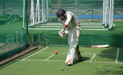 artificial cricket pitch