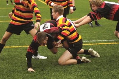 Rugby Shorts,Gym Shorts