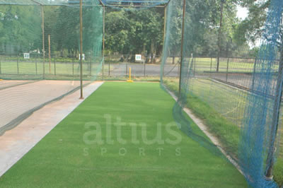 cricket match in artificial pitch field